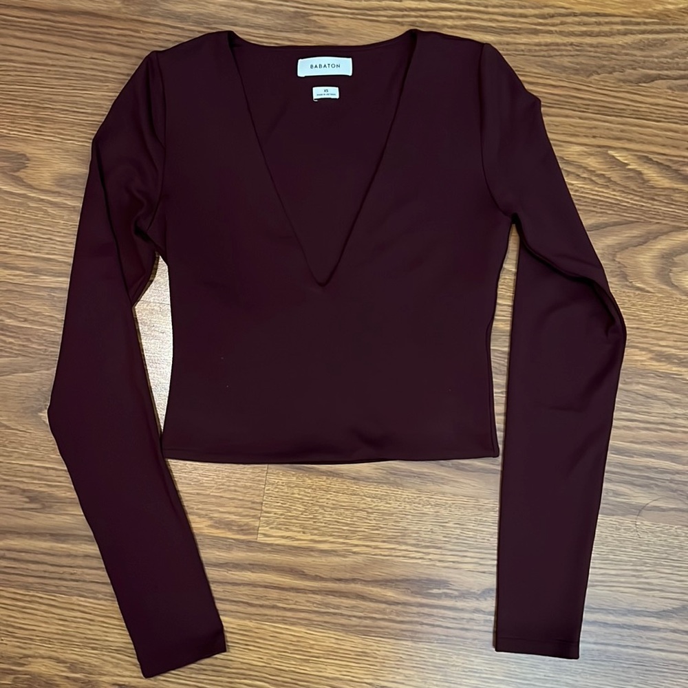 Aritzia Babaton contour v-neck long sleeve